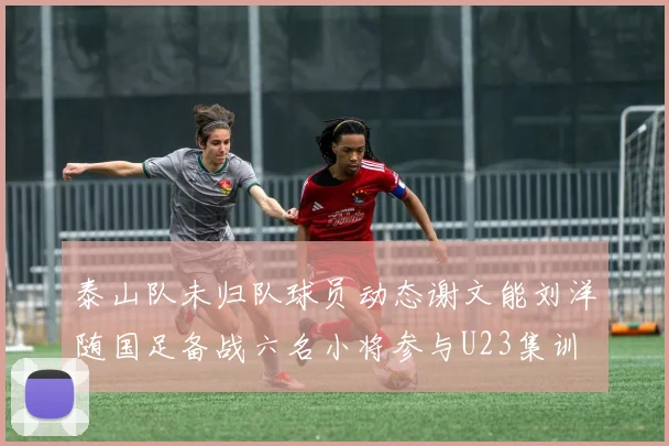 泰山队未归队球员动态谢文能刘洋随国足备战六名小将参与U23集训